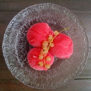 red currant sorbet
